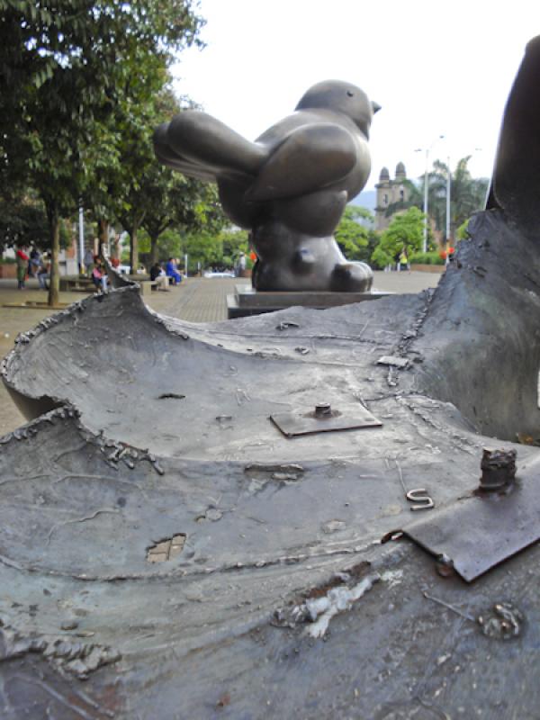 Pajaro, Parque San Antonio, Medellin, Antioquia, C...