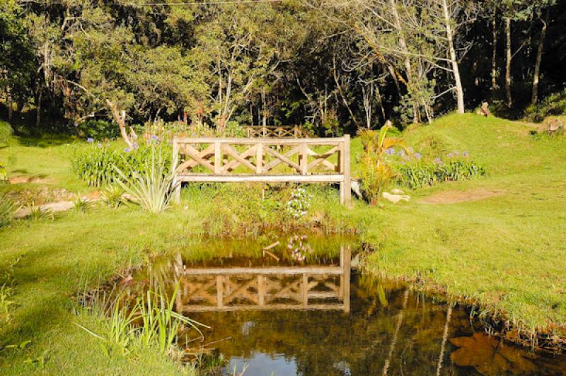 Puente en el Campo