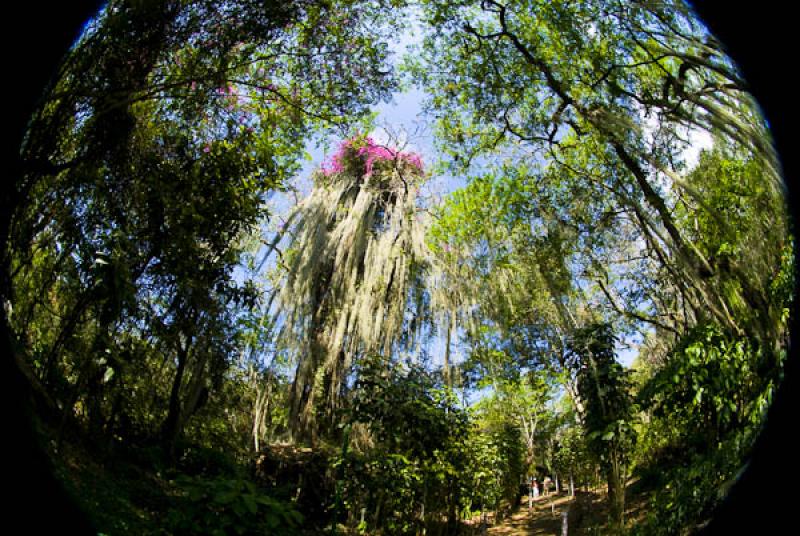 Parque Natural el Gallineral, San Gil, Santander, ...