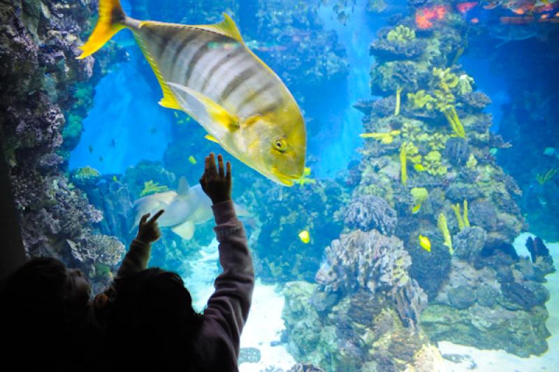 LÂ´Aquarium de Barcelona, Port Vell, La Rambla, ...