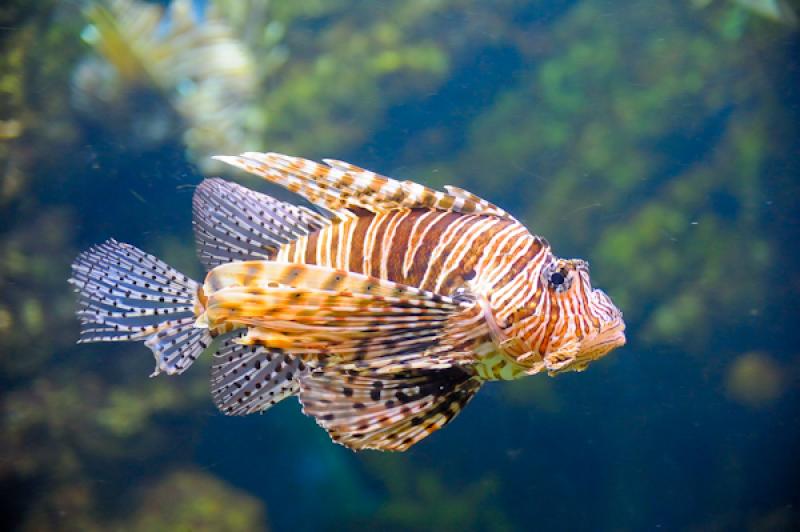 LÂ´Aquarium de Barcelona, Port Vell, La Rambla, ...