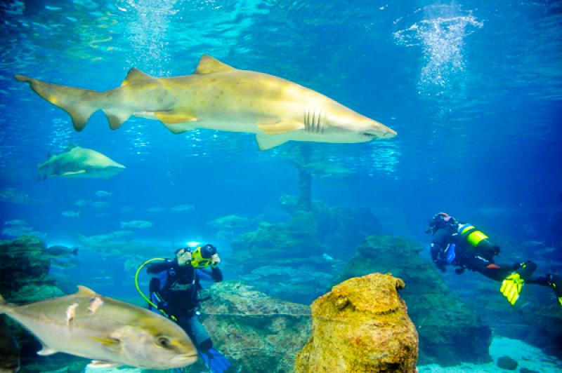 LÂ´Aquarium de Barcelona, Port Vell, La Rambla, ...