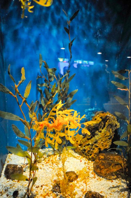 LÂ´Aquarium de Barcelona, Port Vell, La Rambla, ...