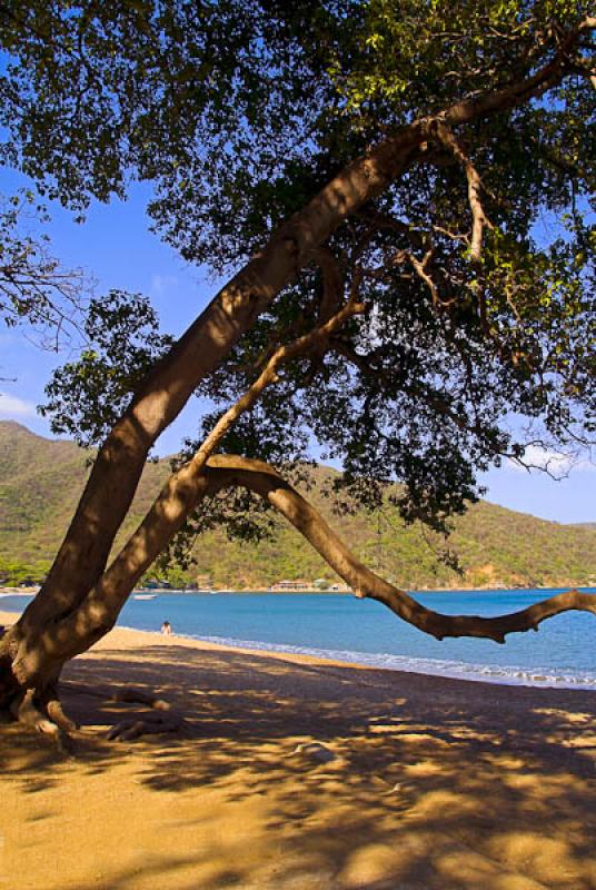 Playa Cristal, Parque Nacional Natural Tayrona, Sa...