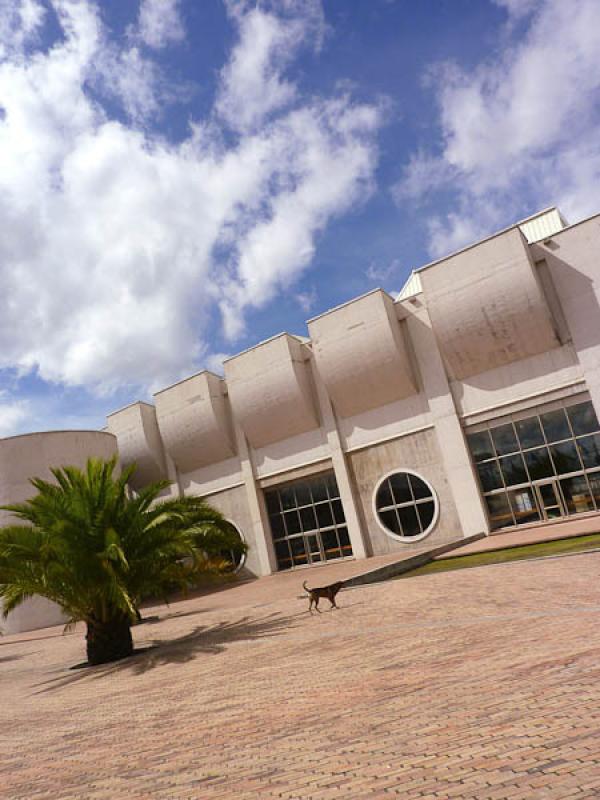 Biblioteca Publica El Tintal Manuel Zapata Olivell...