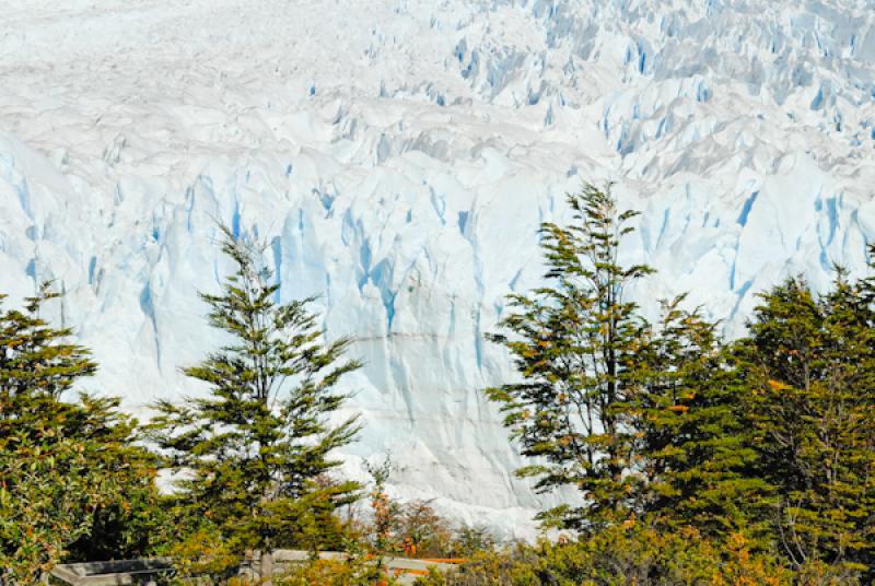 Glaciar Perito Moreno, El Calafate, Provincia de S...