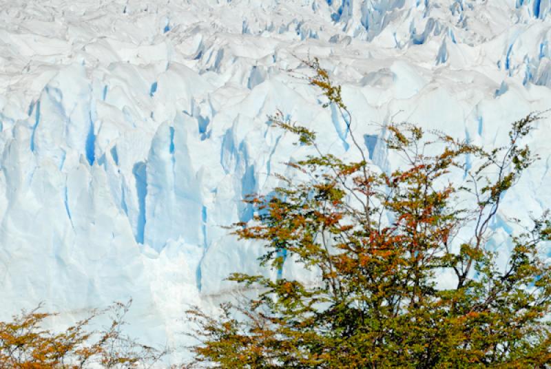 Glaciar Perito Moreno, El Calafate, Provincia de S...