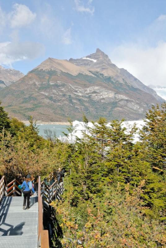 Parque Nacional Los Glaciares, El Calafate, Provin...