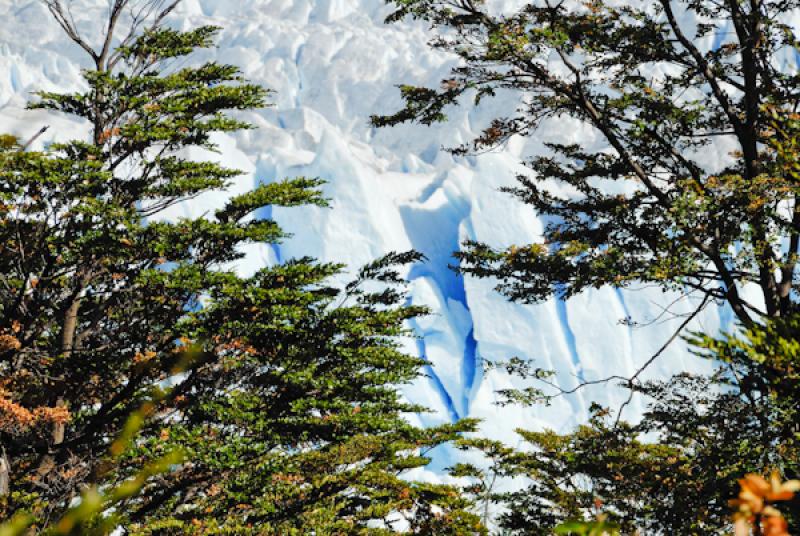 Glaciar Perito Moreno, El Calafate, Provincia de S...