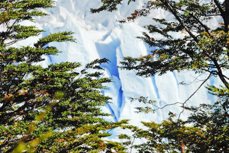 Glaciar Perito Moreno, El Calafate, Provincia de S...