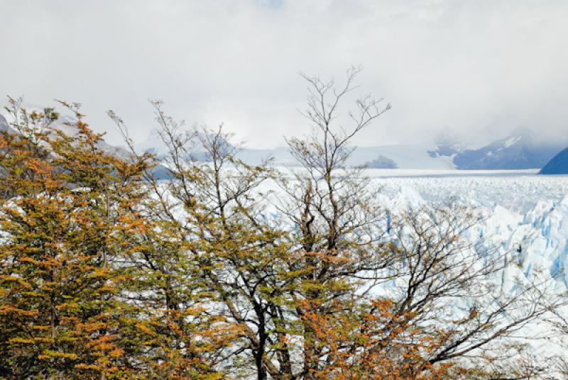 Glaciar Perito Moreno, El Calafate, Provincia de S...