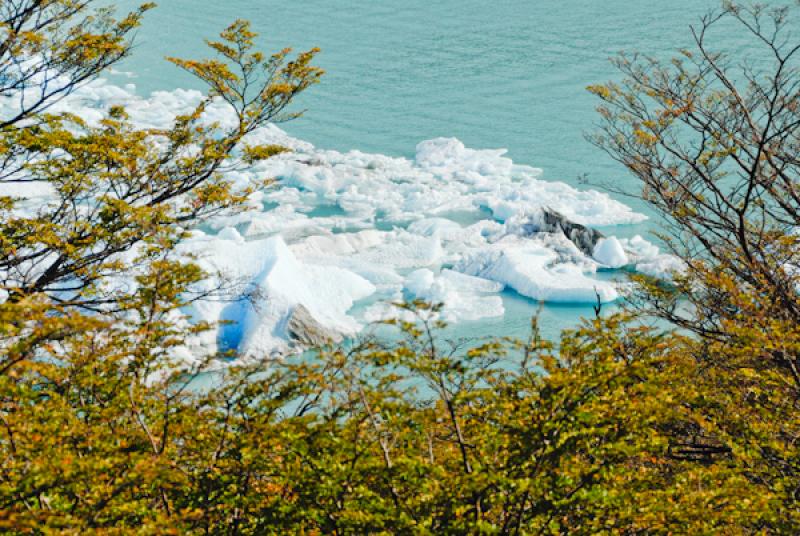 Glaciar Perito Moreno, El Calafate, Provincia de S...