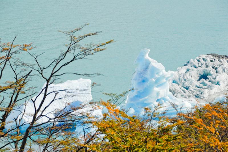 Glaciar Perito Moreno, El Calafate, Provincia de S...