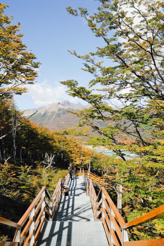 Parque Nacional Los Glaciares, El Calafate, Provin...