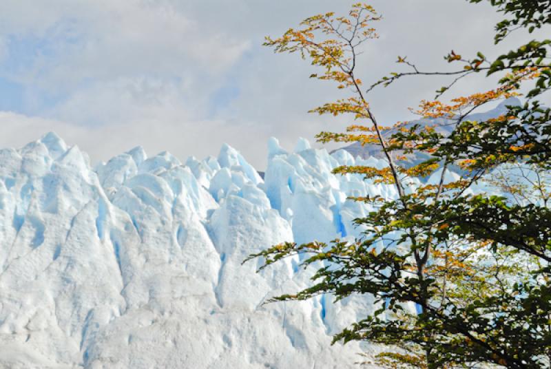 Glaciar Perito Moreno, El Calafate, Provincia de S...