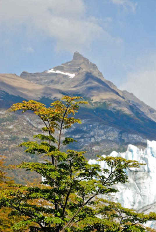 Glaciar Perito Moreno, El Calafate, Provincia de S...