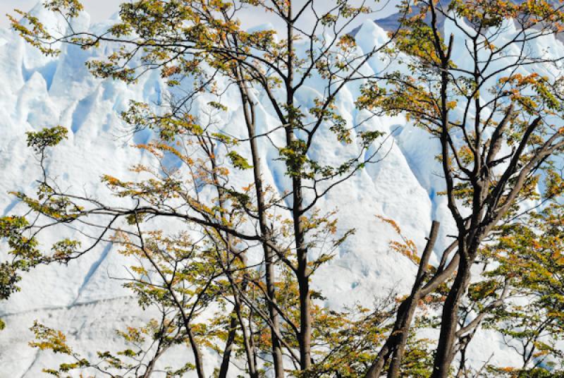 Glaciar Perito Moreno, El Calafate, Provincia de S...