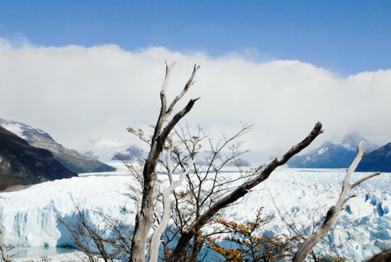 Glaciar Perito Moreno, El Calafate, Provincia de S...