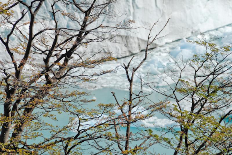 Glaciar Perito Moreno, El Calafate, Provincia de S...