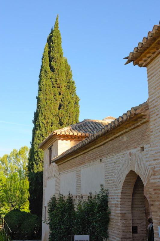 Generalife, Alhambra, Granada, Andalucia, EspaÃ±...