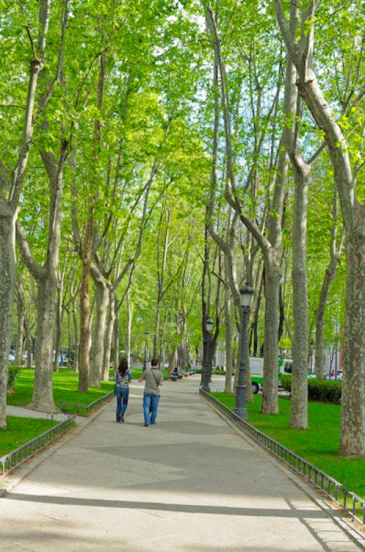 Plazas de Madrid, EspaÃ±a, Europa Occidental