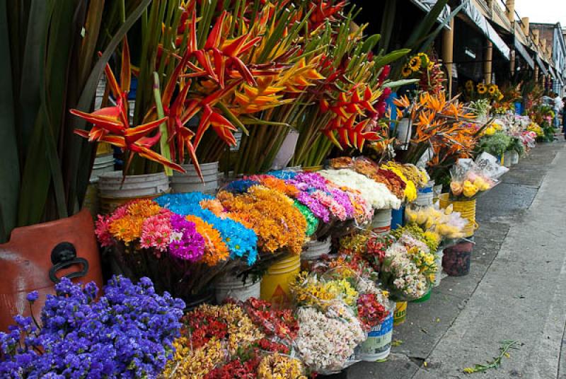 Venta de Flores, Manizales, Caldas, Colombia