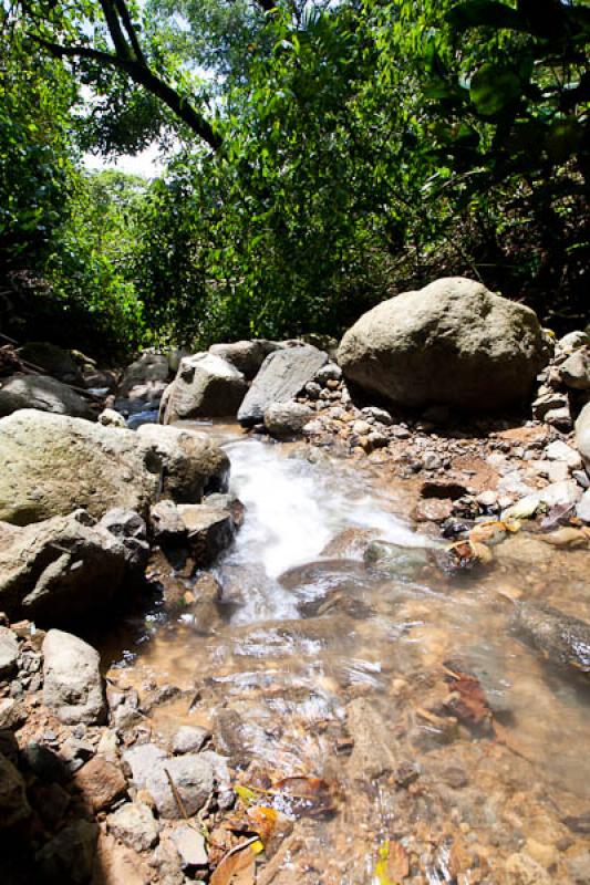 Quebrada en el Bosque