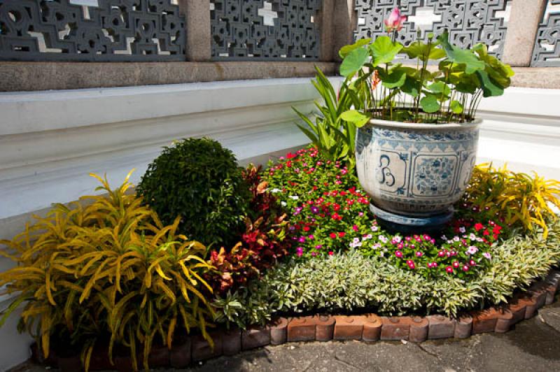 Plantas en el Templo del Buda de Esmeralda, Bangko...