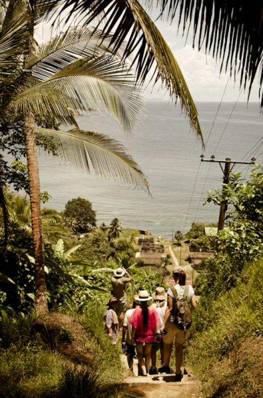 Caminates en Bahia de la Miel, Panama, America Cen...