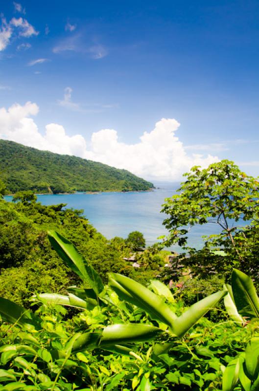 Panoramica Bahia de la Miel, Panama, America Centr...