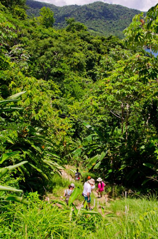 Caminates en Bahia de la Miel, Panama, America Cen...