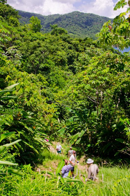 Caminates en Bahia de la Miel, Panama, America Cen...