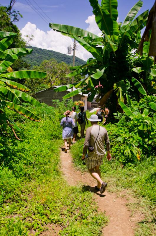 Caminates en Bahia de la Miel, Panama, America Cen...