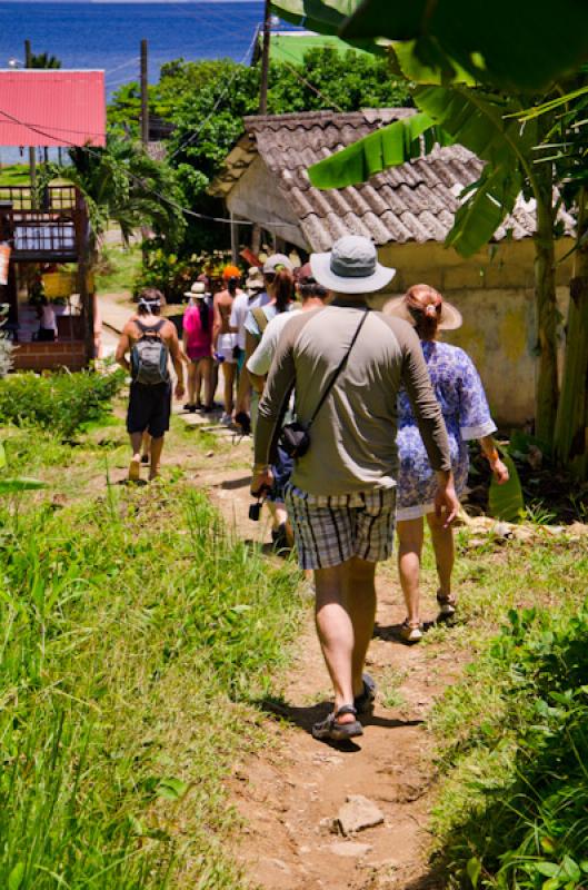 Caminates en Bahia de la Miel, Panama, America Cen...