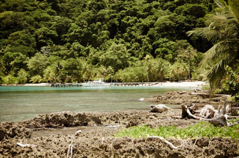 Bahia de la Miel, Panama, America Central