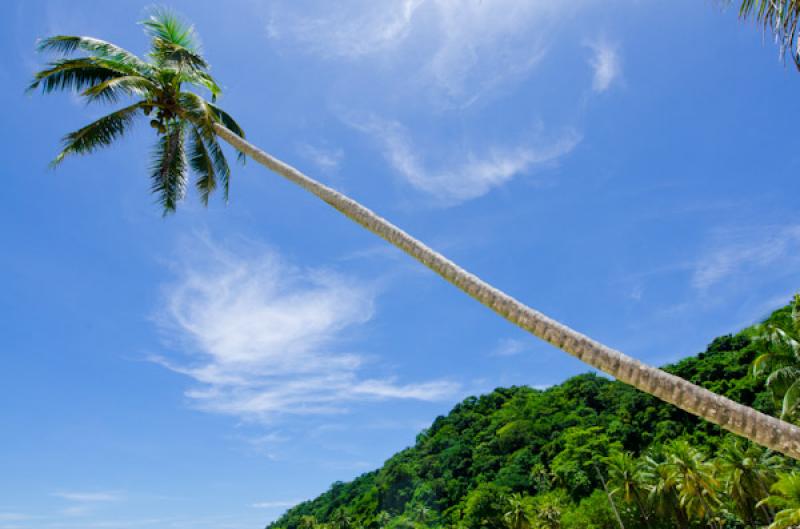 Bahia de la Miel, Panama, America Central