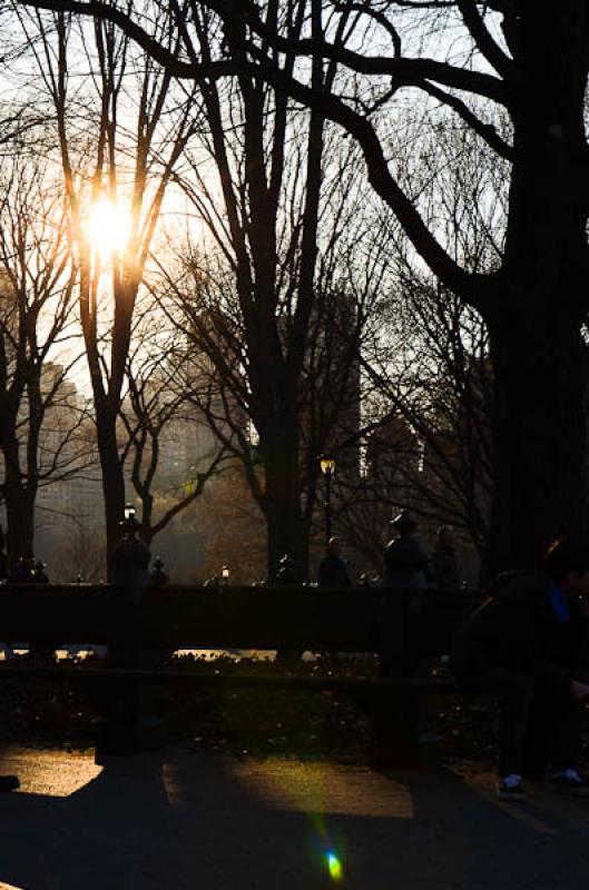 Central Park, Manhattan, Nueva York, Estados Unido...