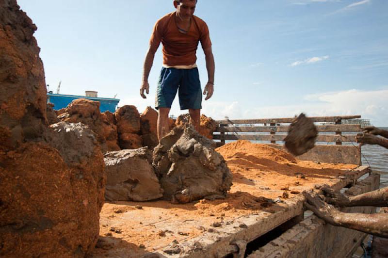 Hombre Trabajando