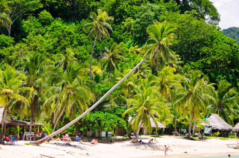 Bahia de la Miel, Panama, America Central