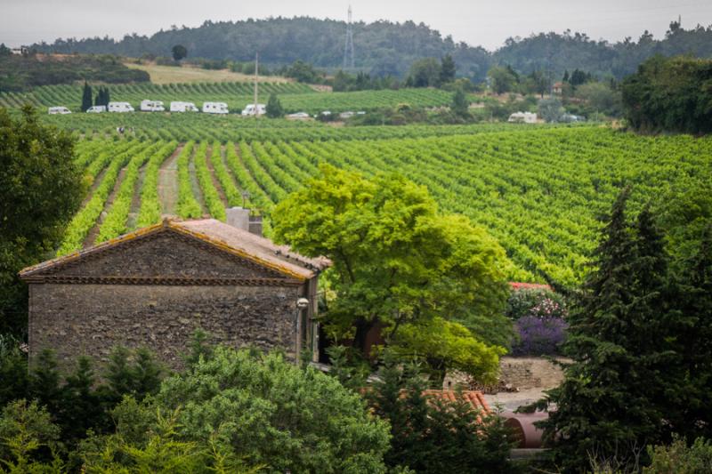 Cultivos en Carcassone, Languedoo- Rosellon, Franc...