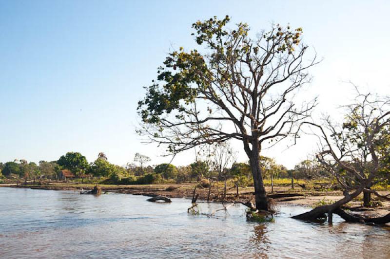 Rio Amazonas, Amazonas, Leticia, Colombia