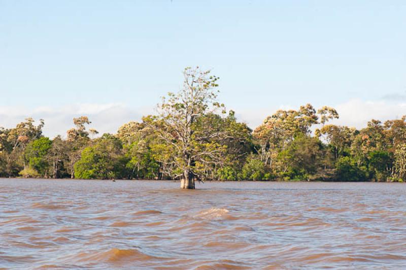 Rio Amazonas, Amazonas, Leticia, Colombia