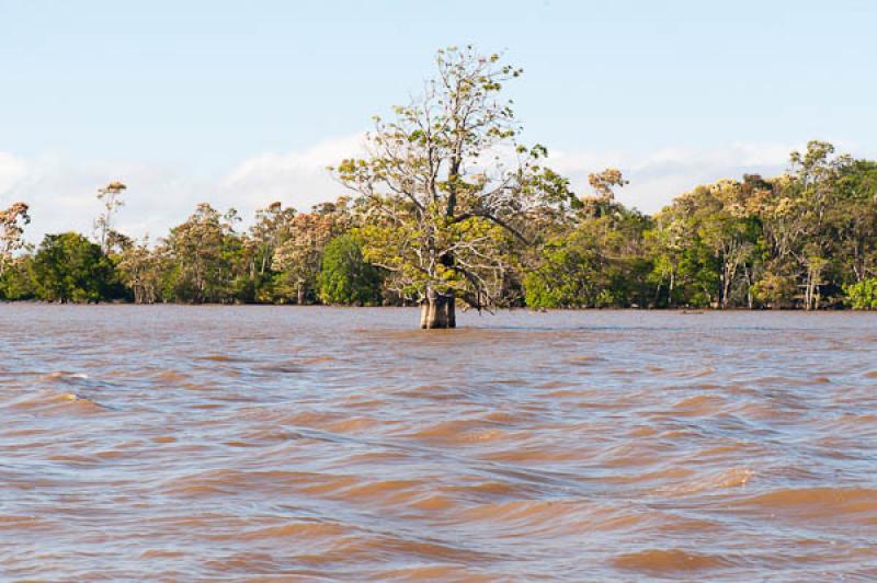 Rio Amazonas, Amazonas, Leticia, Colombia