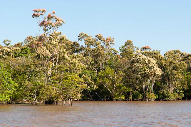 Rio Amazonas, Amazonas, Leticia, Colombia