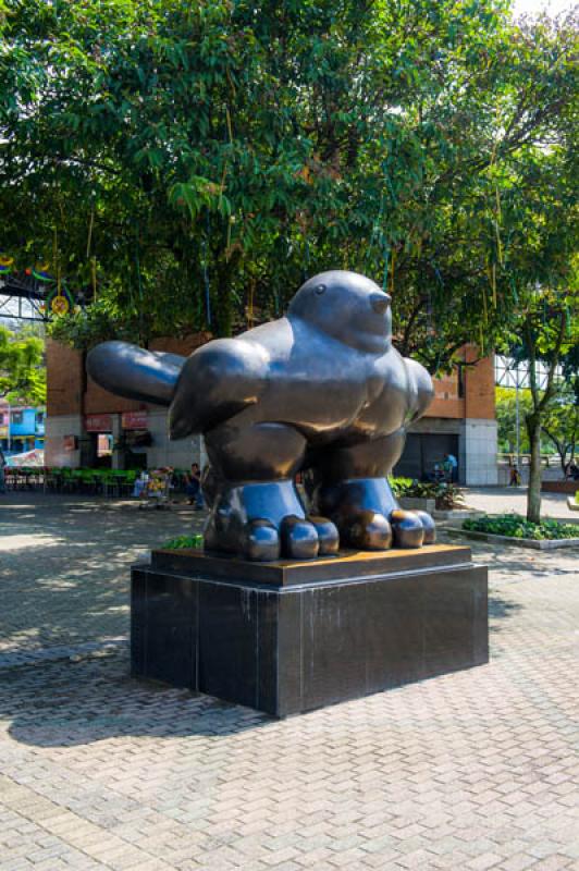 Pajaro, Parque San Antonio, Medellin, Antioquia, C...