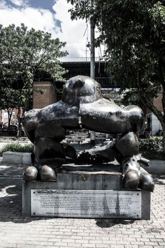 Pajaro, Parque San Antonio, Medellin, Antioquia, C...