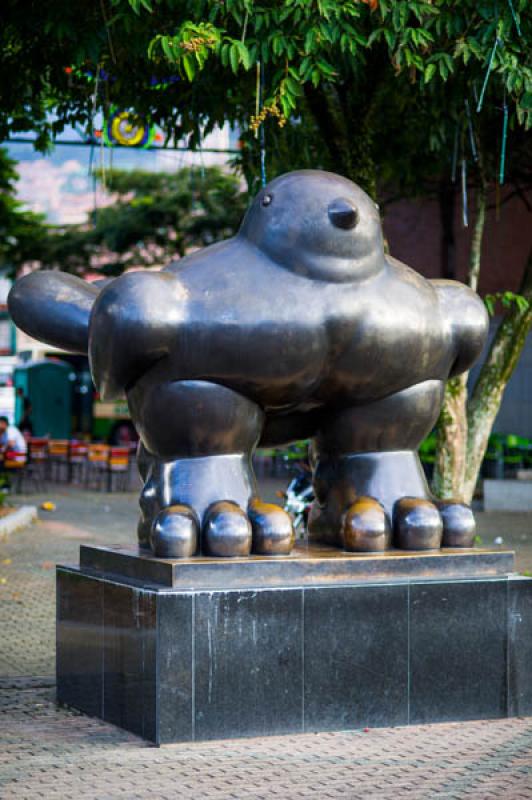 Pajaro, Parque San Antonio, Medellin, Antioquia, C...