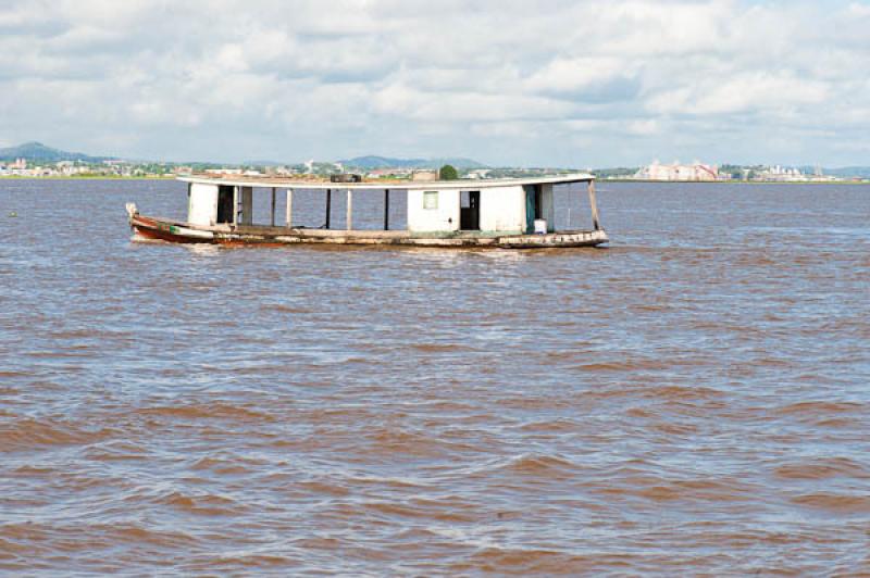 Planchon en el Rio Amazonas, Amazonas, Leticia, Co...