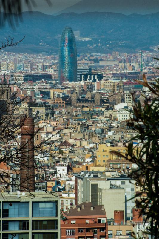 Panoramica de Barcelona Desde la Montaña de Montj...