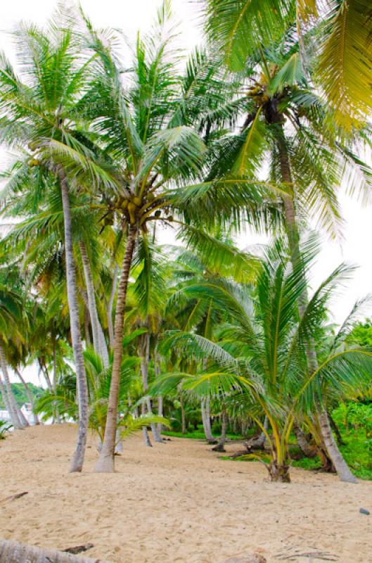 Pueblo Guna Yala, Archipielago de San Blas, El Por...